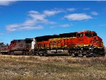 BNSF 6924 4710 Locos